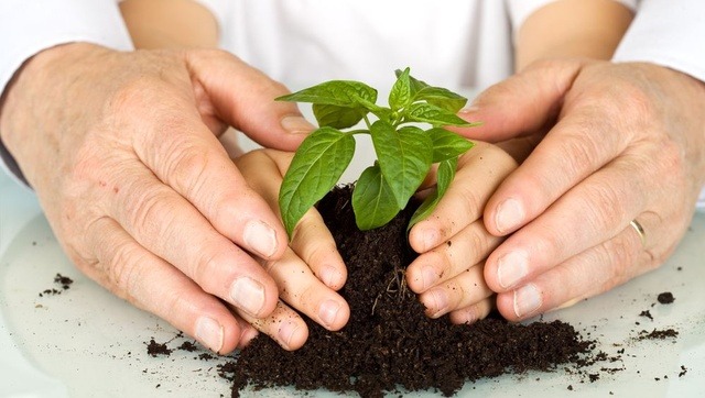 educación ambiental