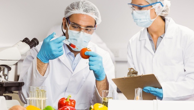 imgi_57_descubre-la-bromatologia-la-ciencia-de-los-alimentos
