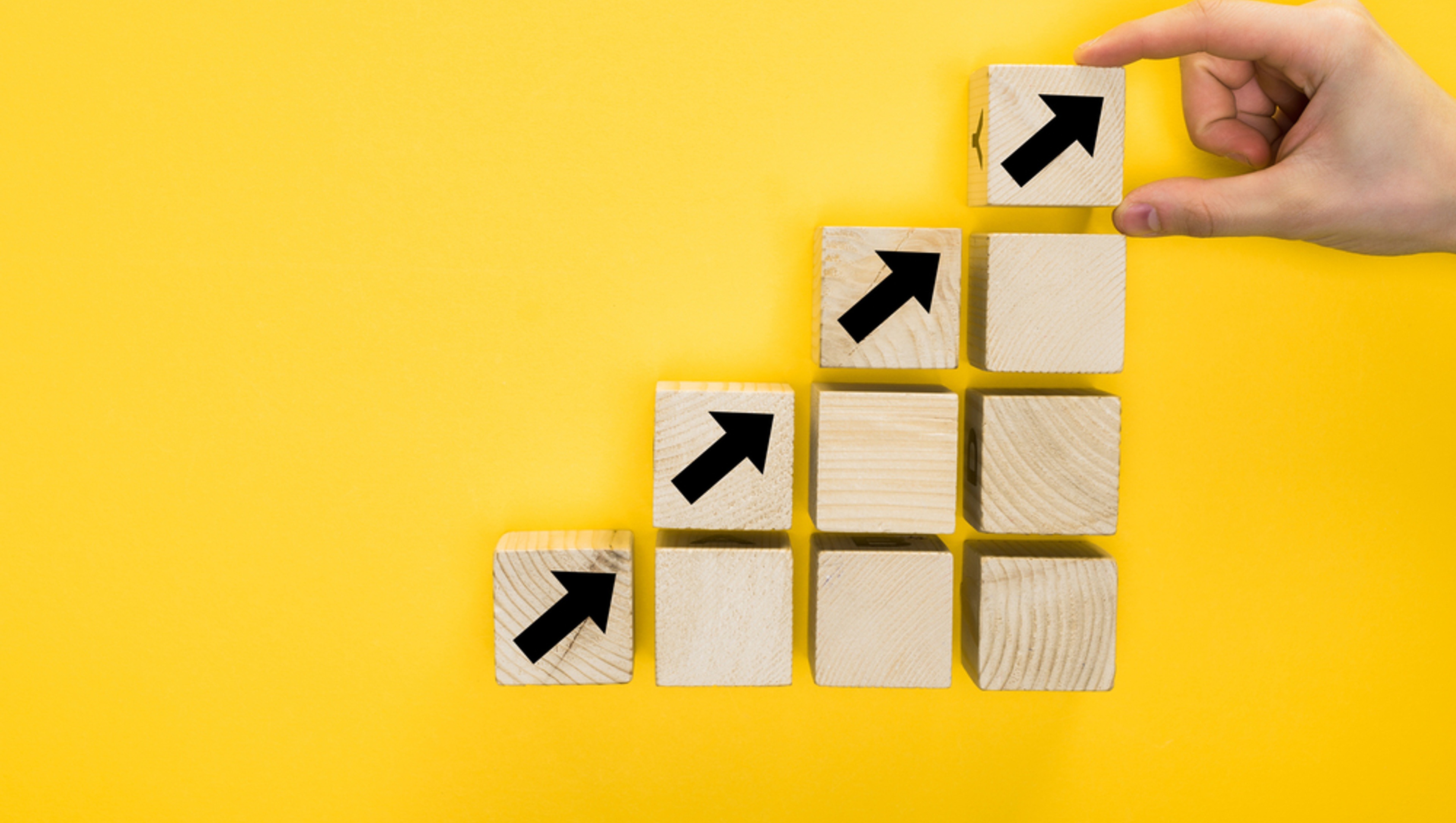 Gestión de la calidad