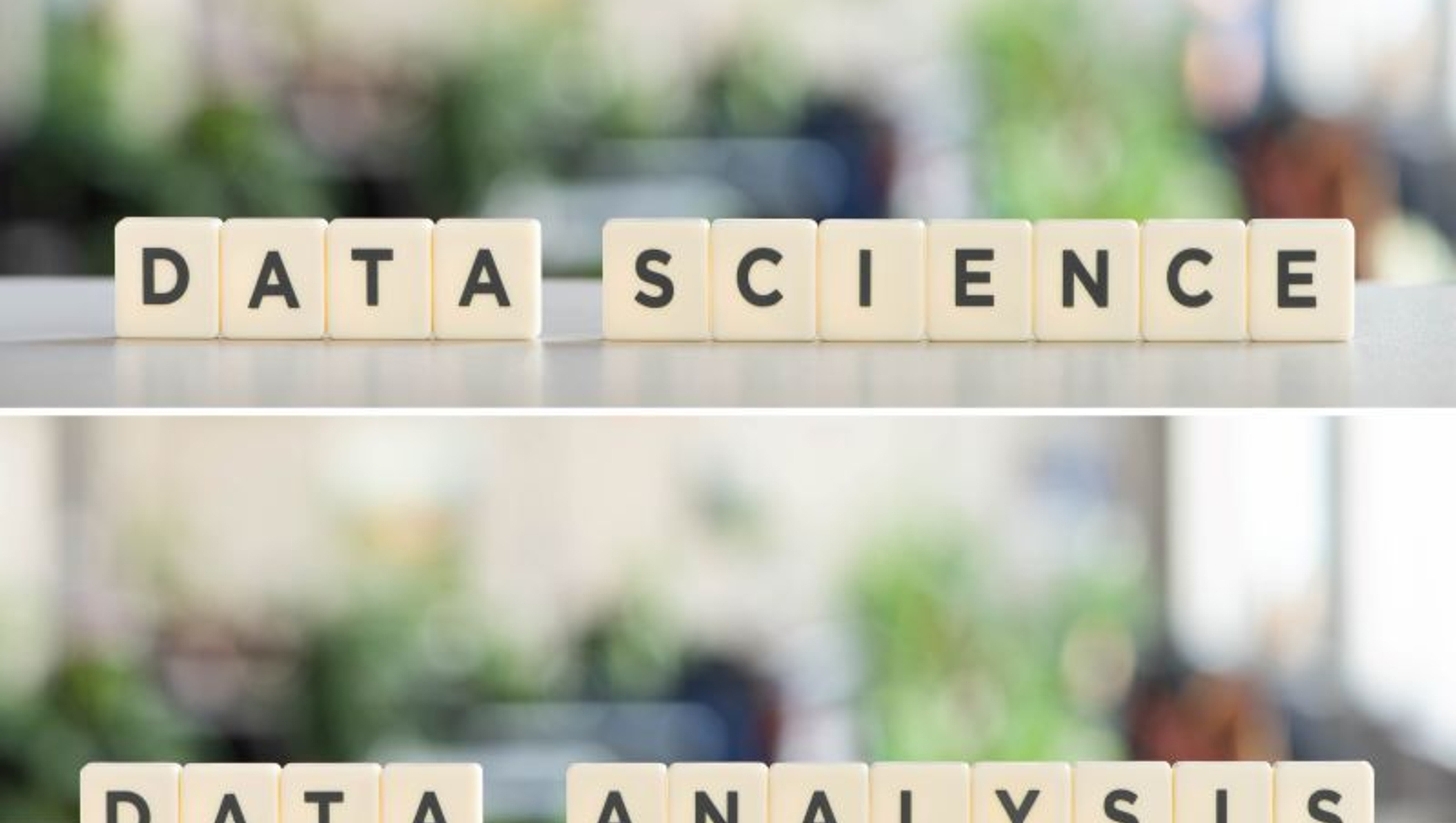 data scientist /