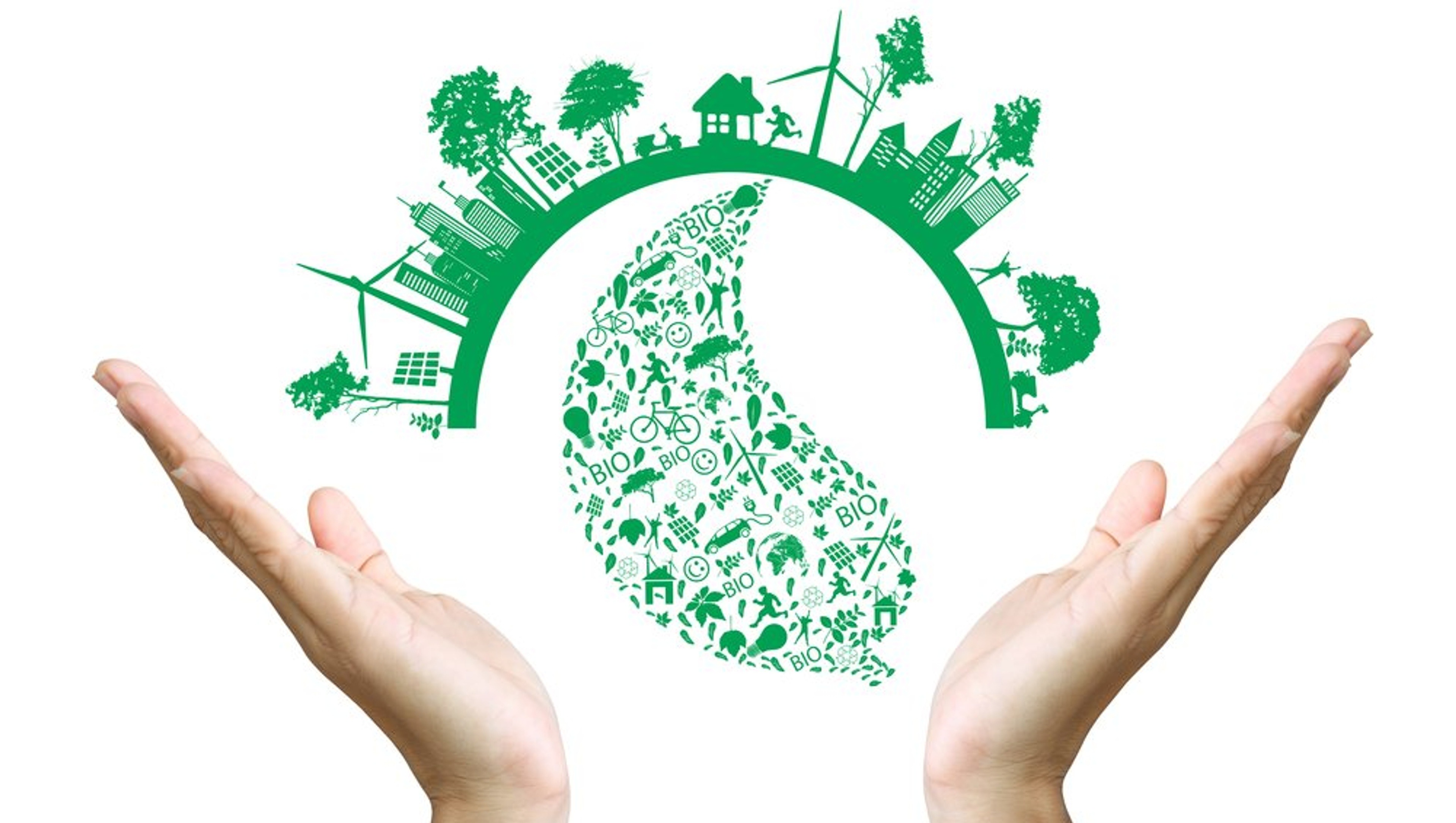 crecimiento sostenible