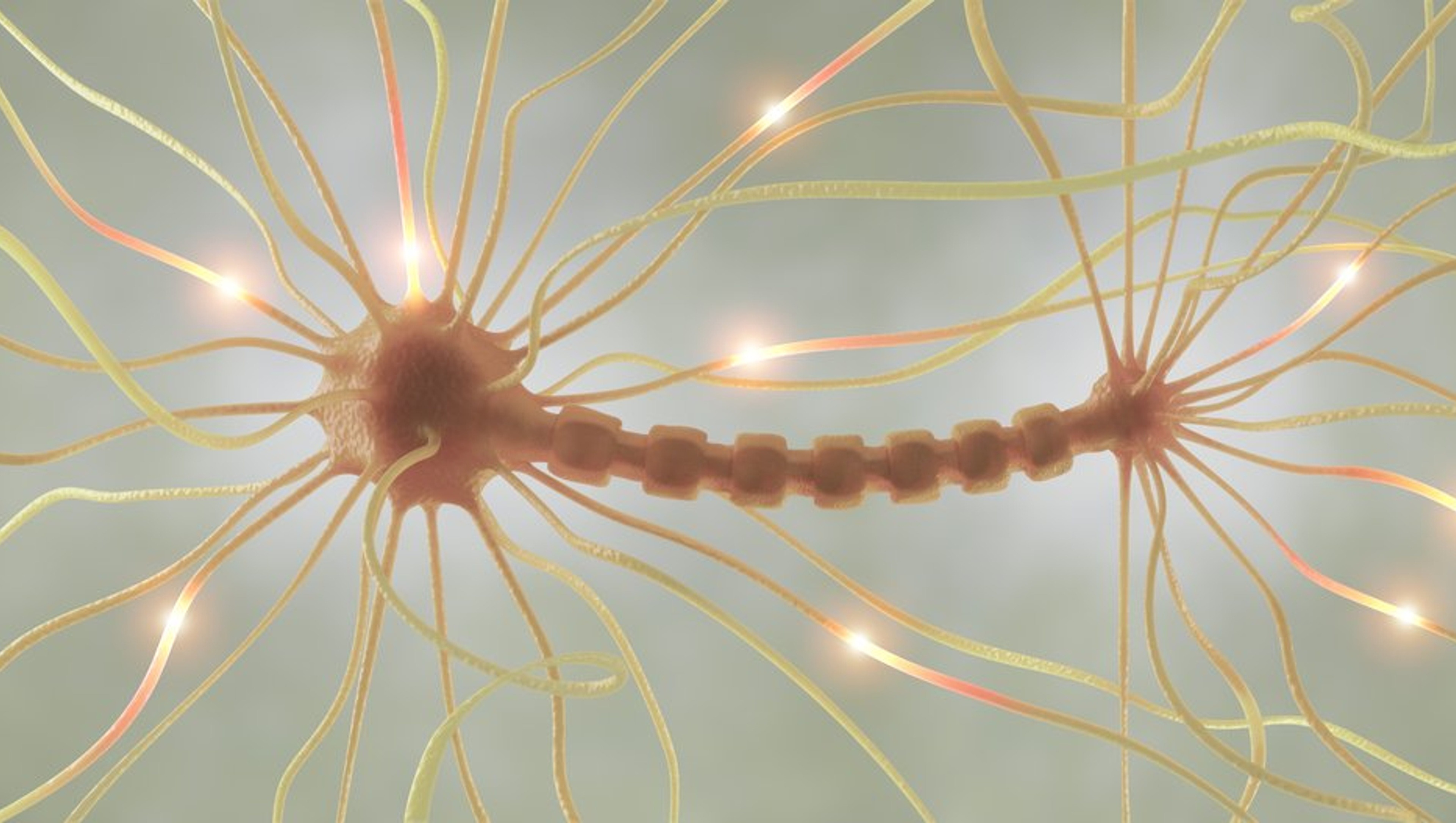 procesos cognitivos: qué son y que tipos hay