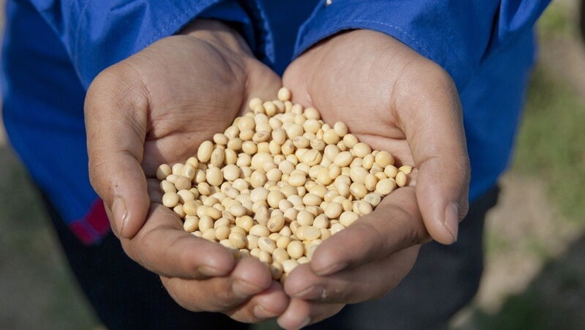 imgi_62_que-es-la-seguridad-alimentaria-y-porque-es-tan-importante