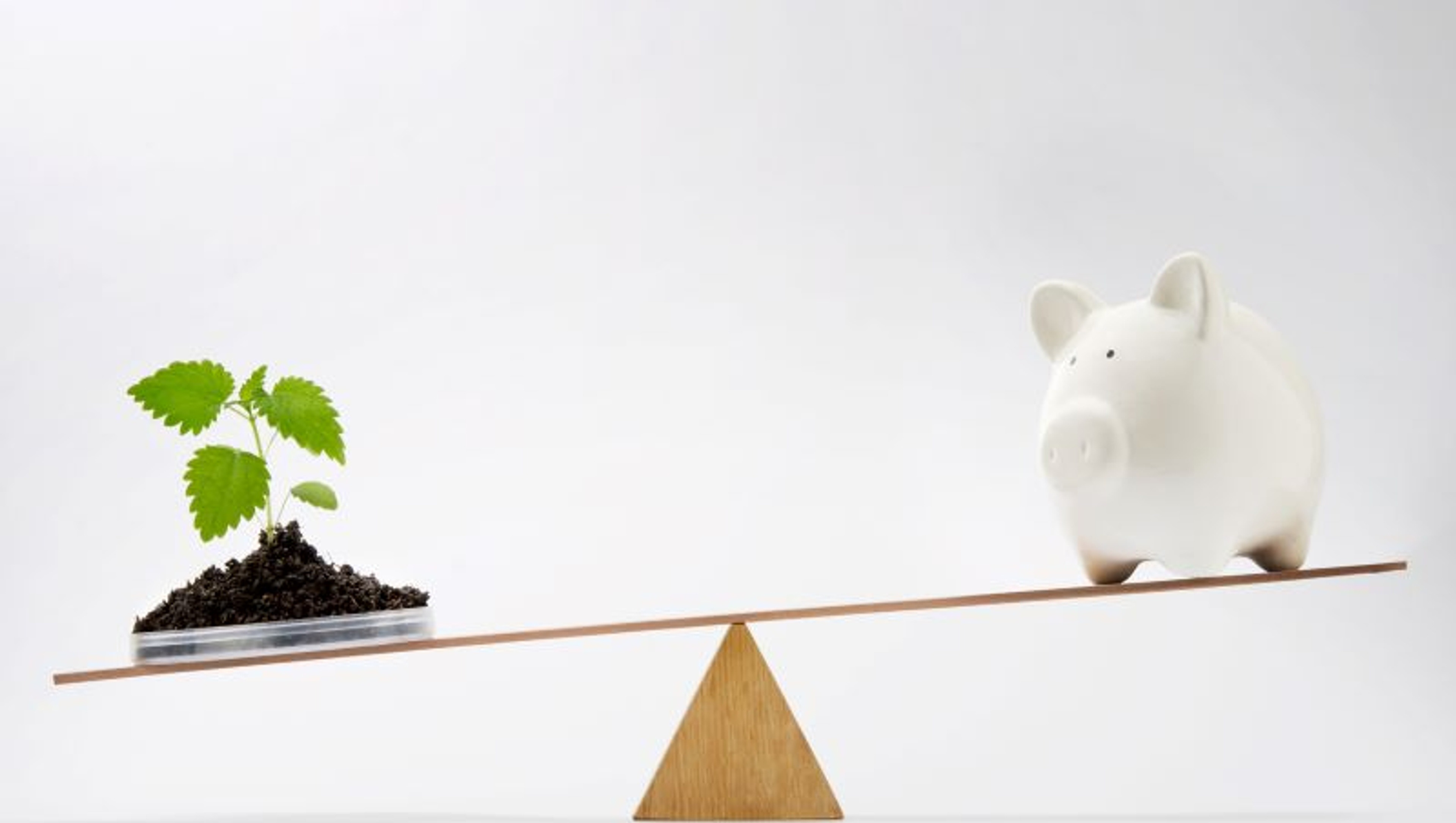 responsabilidad socioambiental