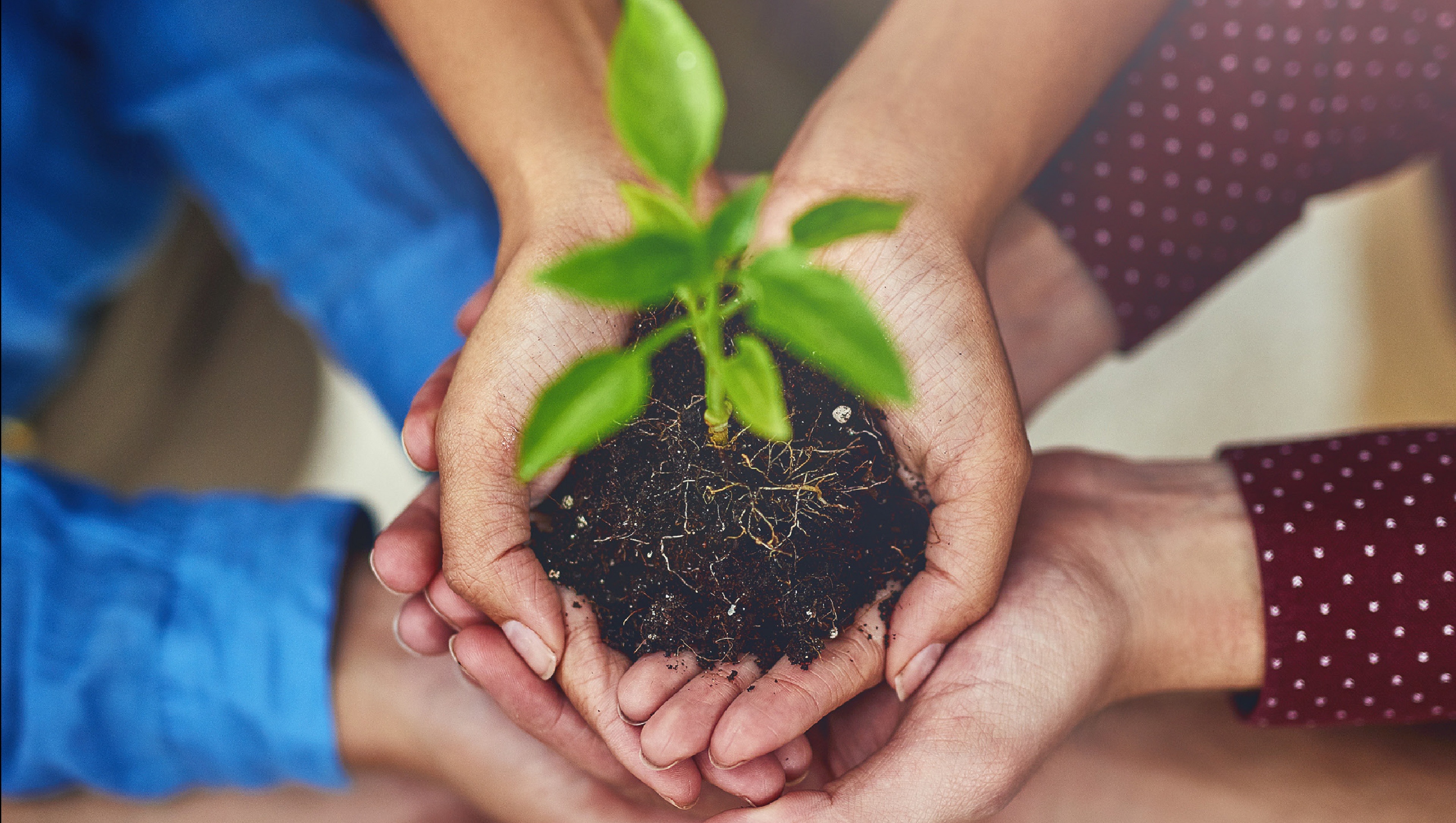 imgi_66_675x500-plan-de-accion-ods-2022-mesa-de-trabajo-1-0