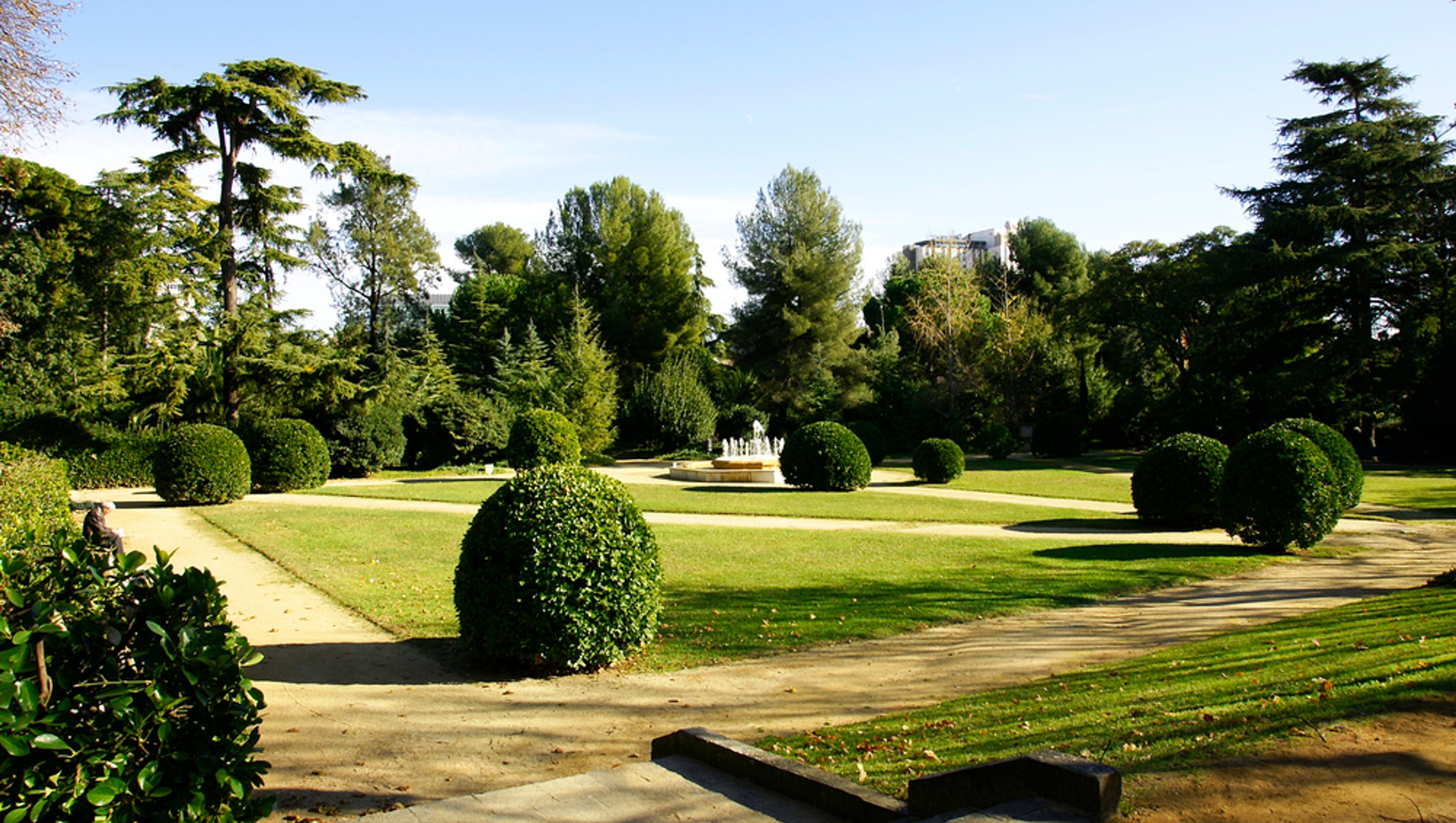 Cómo impulsar la biodiversidad urbana y proteger las ciudades