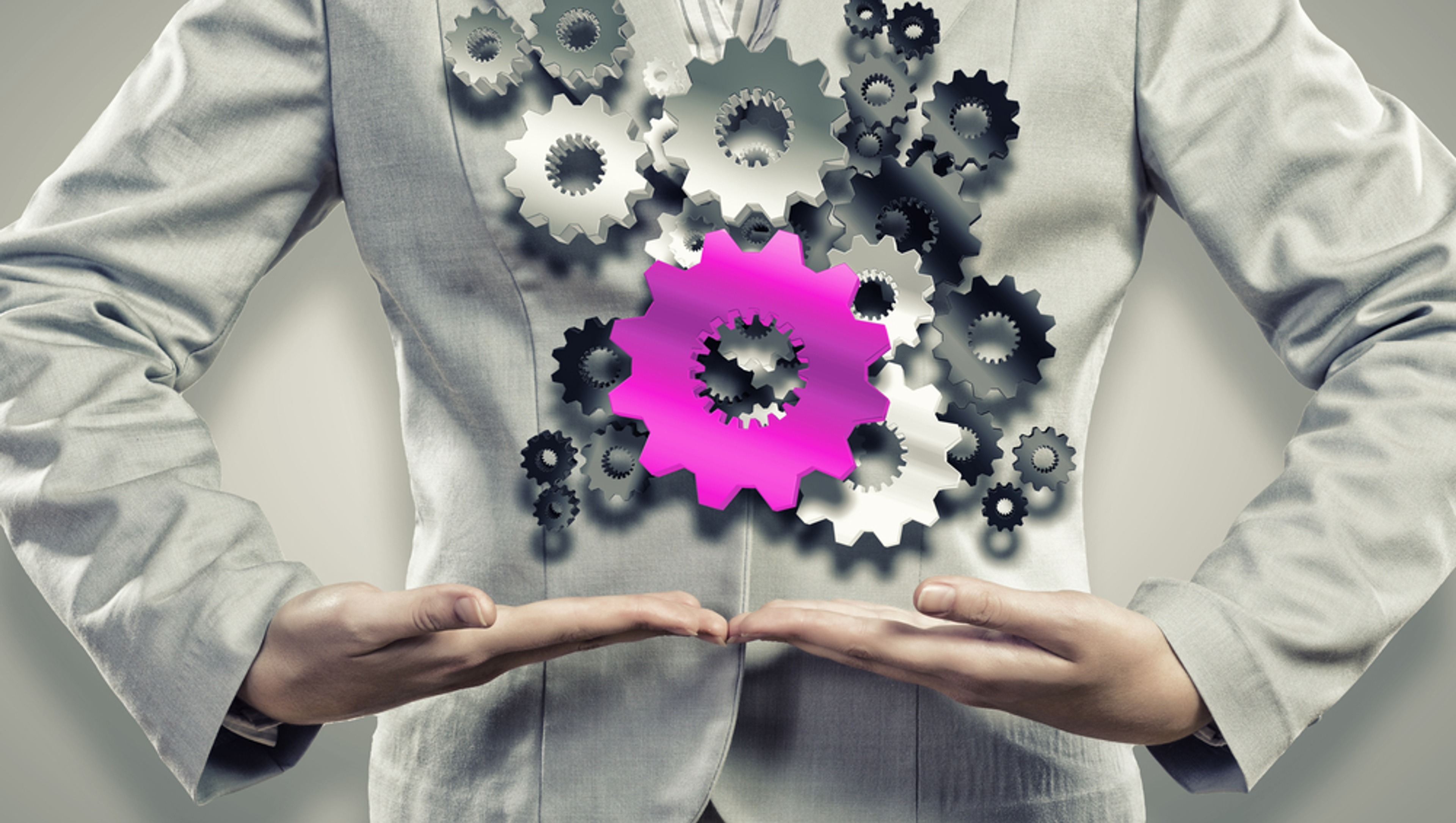 qué es organización industrial