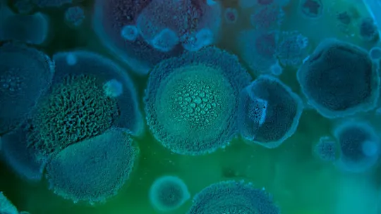 microbiología ambiental