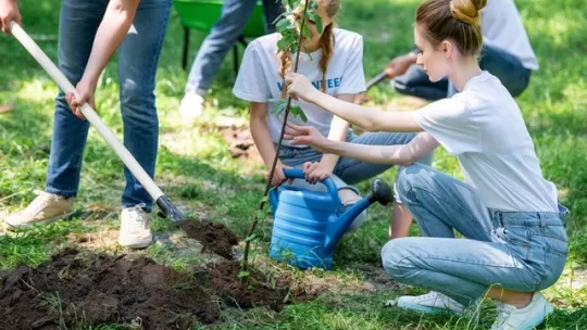 sostenibilidad-empresarial-como-integrar-la-rsc-en-tu-modelo-de-negocio