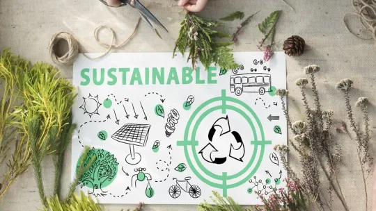 los-principios-del-diseno-sostenible