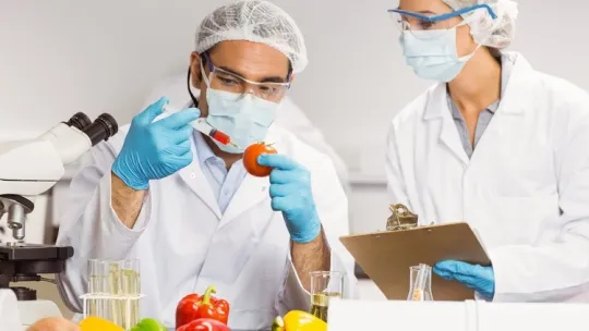 imgi_57_descubre-la-bromatologia-la-ciencia-de-los-alimentos