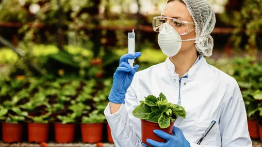 5 innovaciones tecnológicas aplicadas al medio ambiente