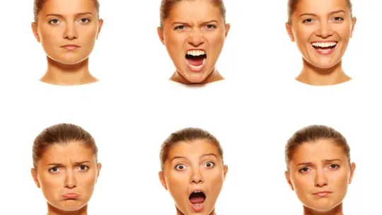 comportamiento humano