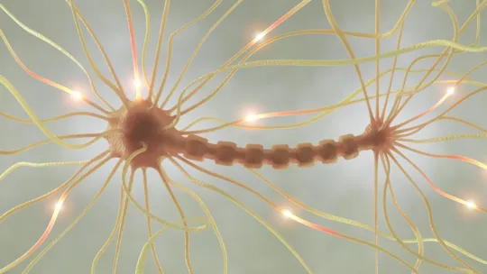 procesos cognitivos: qué son y que tipos hay