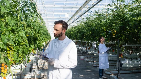 ¿Qué es la industria sostenible y por qué es crucial para nuestro futuro?