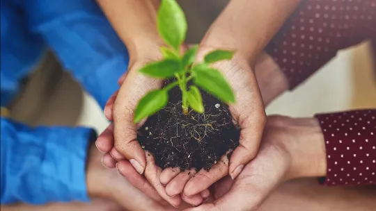 imgi_66_675x500-plan-de-accion-ods-2022-mesa-de-trabajo-1-0