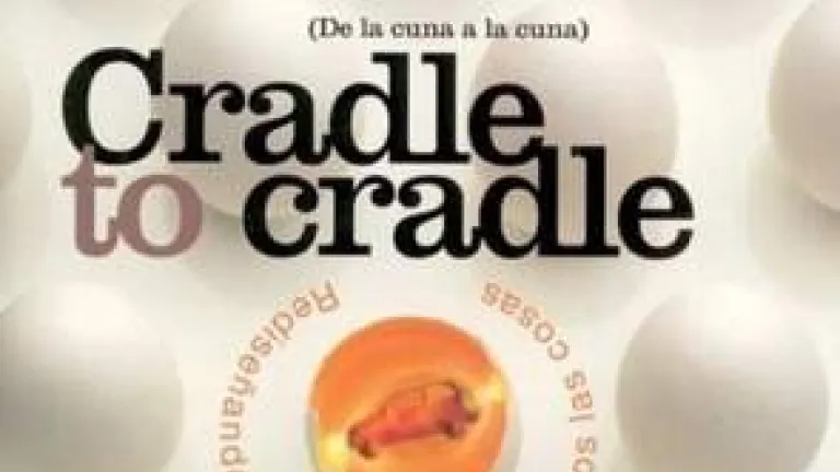 Cradle to cradle: Rediseñando la forma en que hacemos las cosas