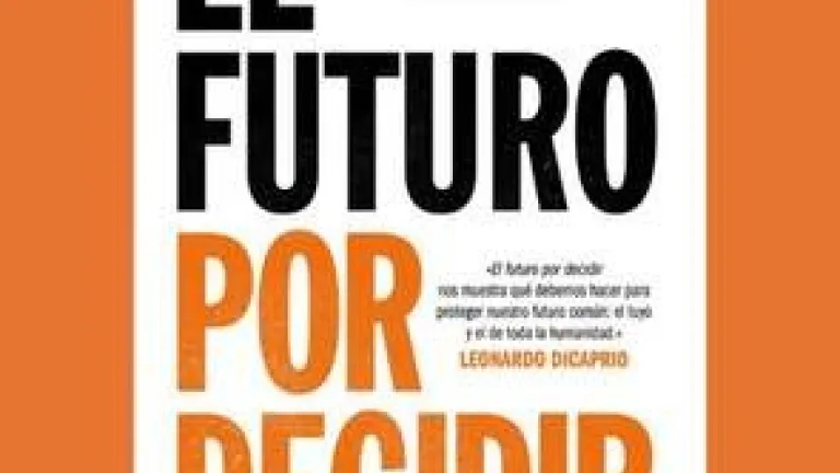 El futuro por decidir. Cómo sobrevivir a la crisis climática