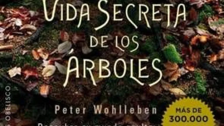 La vida secreta de los árboles
