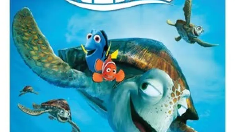 Buscando a nemo