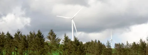 Objetivos del Pacto Verde Europeo