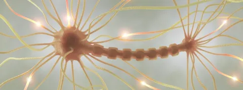 procesos cognitivos: qué son y que tipos hay