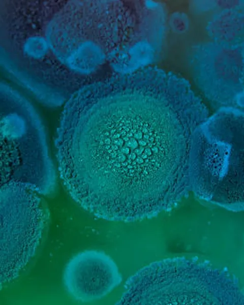 microbiología ambiental