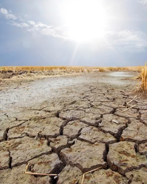 Todas las metas de la ODS 13: cambio climático
