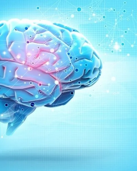 imgi_12_el-desarrollo-psicobiologico-explicar-el-crecimiento-del-cerebro