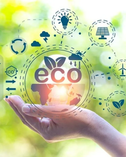 ¿Qué es la ética ambiental? Principios y ejemplos