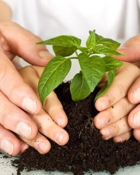 educación ambiental
