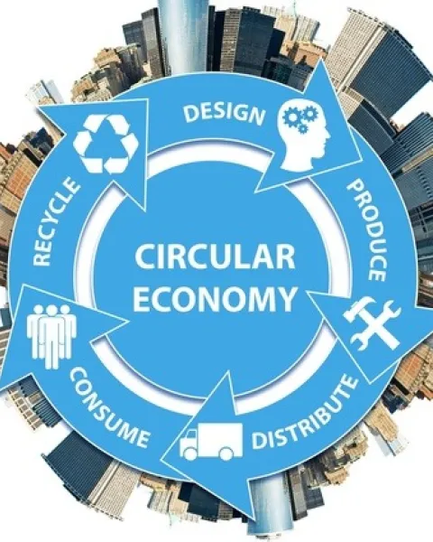 economía lineal y circular