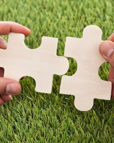 existen diferencias entresostenibilidad y s ilidad