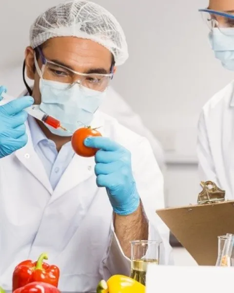 imgi_57_descubre-la-bromatologia-la-ciencia-de-los-alimentos