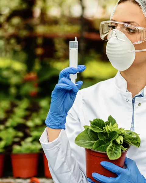 5 innovaciones tecnológicas aplicadas al medio ambiente