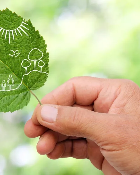 16 ejemplos de diseño sostenible que impactan positivamente | Universitat Carlemany