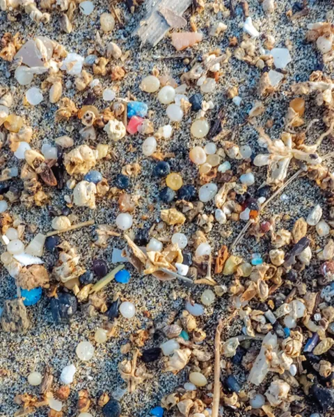 ¿Qué son y cómo nos afectan los microplásticos?