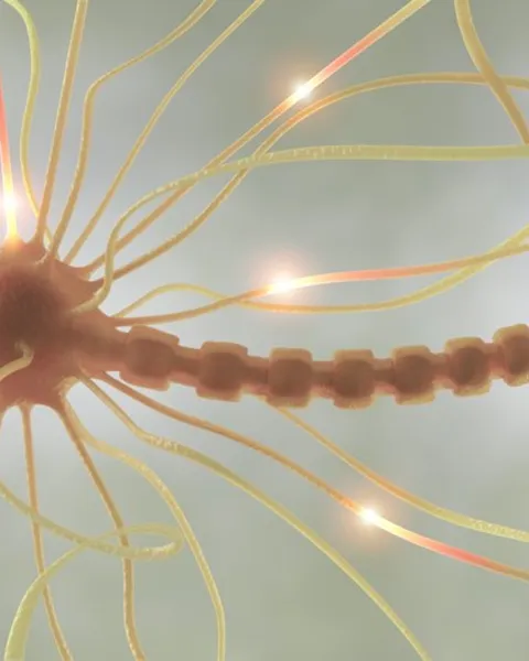 procesos cognitivos: qué son y que tipos hay