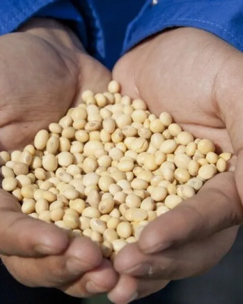 imgi_62_que-es-la-seguridad-alimentaria-y-porque-es-tan-importante