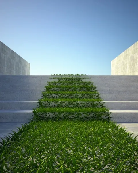 imgi_62_que-es-la-sostenibilidad-ambiental.jpg
