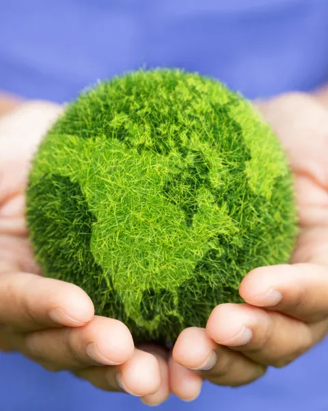 Descubre qué significa la conciencia ambiental, por qué es crucial la educación ambiental en la actualidad y te compartiremos cinco prácticas clave que puedes aplicar para marcar la diferencia.