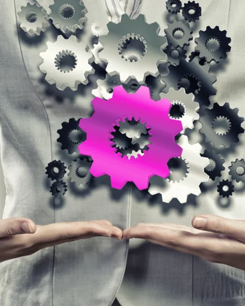 qué es organización industrial