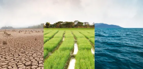 Composición con suelo seco, un cultivo verde y un ecosistema marino
