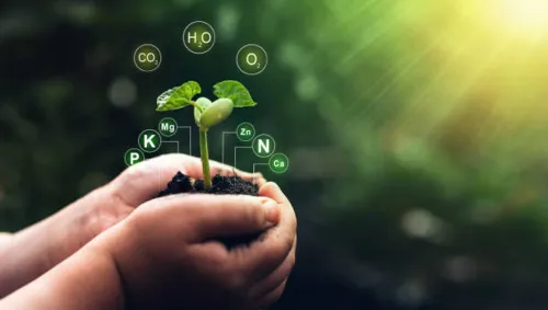 Microbiología ambiental: la gran importancia de los microorganismos Microbiología ambiental: la gran importancia de los microorganismos