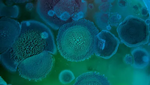 microbiología ambiental microbiología ambiental