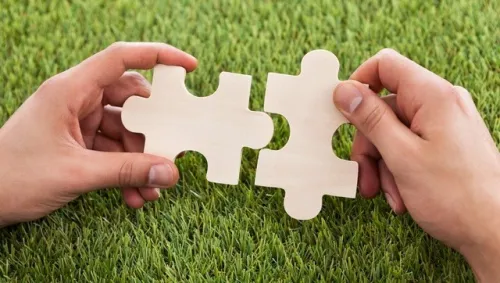 existen diferencias entresostenibilidad y s ilidad