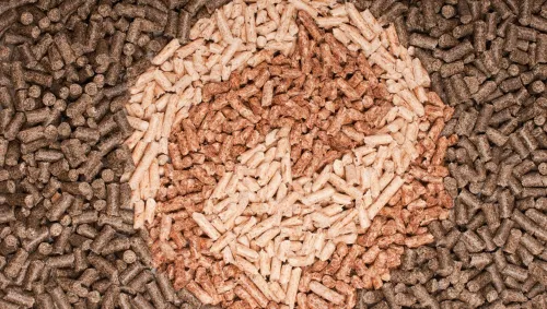 energía de biomasa