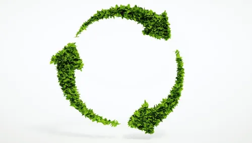 imgi_61_5-ejemplos-de-desarrollo-sostenible-ambiental.jpg
