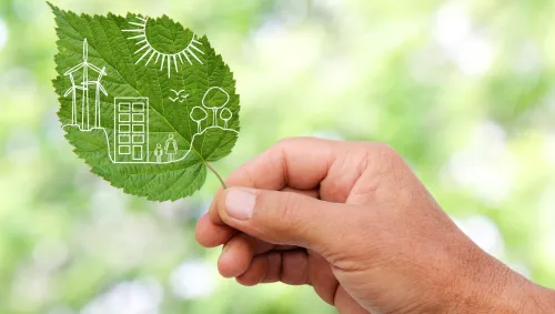 diseño sostenible 16 ejemplos de diseño sostenible que impactan positivamente | Universitat Carlemany