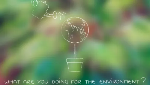 imgi_62_proyectos-rentables-de-medio-ambiente-y-desarrollo-sostenible.jpg